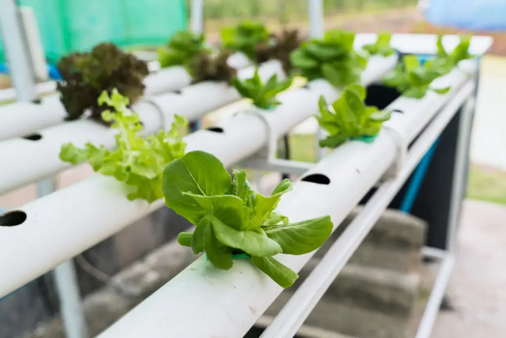 Planet Farms from Italy secures $40 Million for Vertical Farming Growth in Italy and the UK