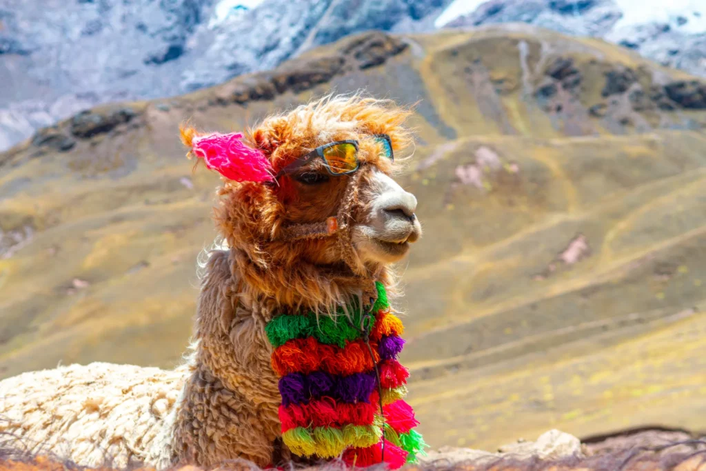 Alpaca raises $52M Series C to expand Global Access to U.S. Stock Trading via APIs