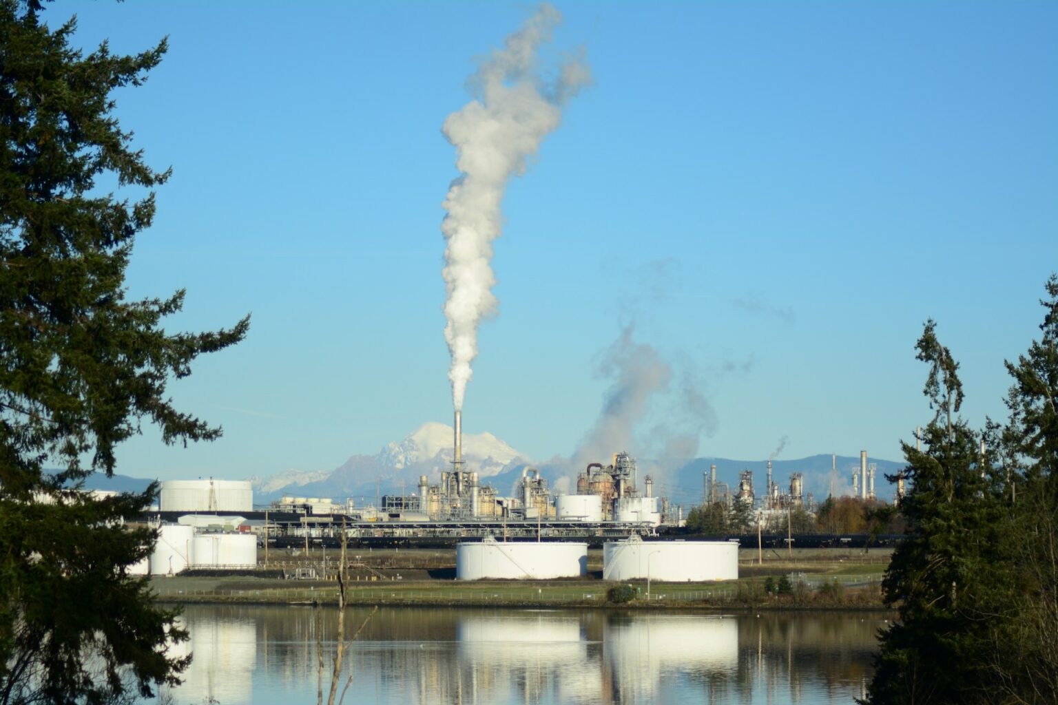 Cleantech accelerator CICE invests $2.5 million in five women-led climate startups
