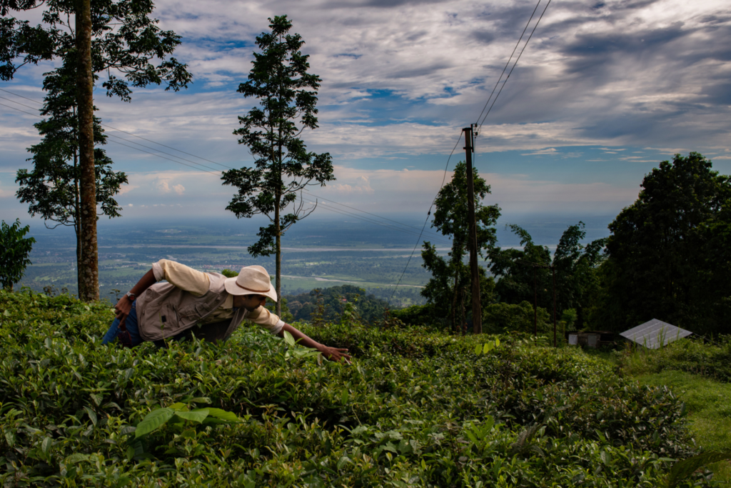 Alt Carbon secures $12M Seed Round to scale Carbon Removal in India using Rock Weathering