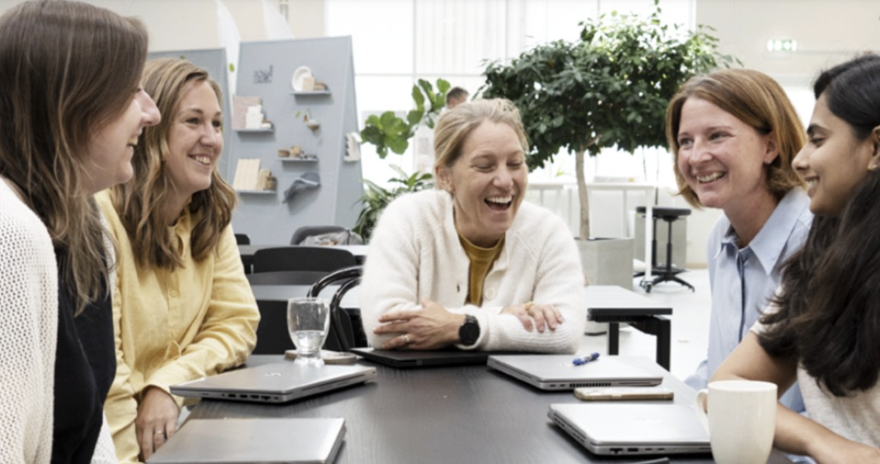 Yangi from Sweden raises €3.6M to build first plant for fibre-based packaging