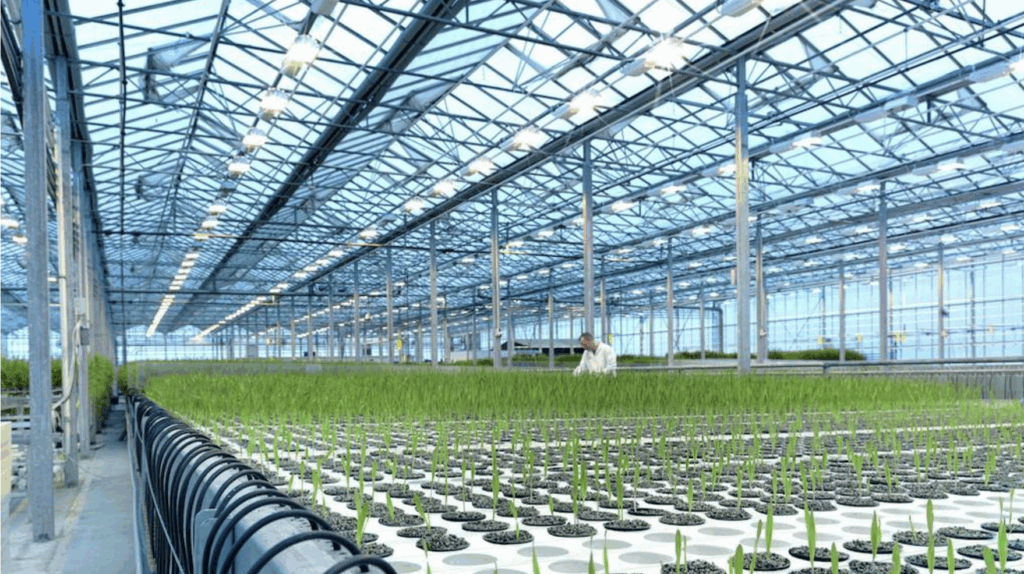 ORF Genetics from Iceland secures €5M to scale plant-based growth factors for cultivated meat, targets €7M round