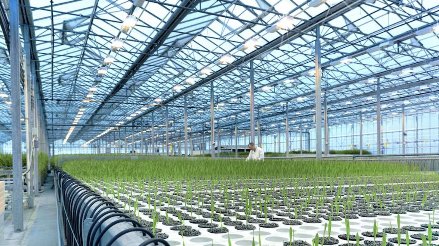 ORF Genetics from Iceland secures €5M to scale plant-based growth factors for cultivated meat, targets €7M round
