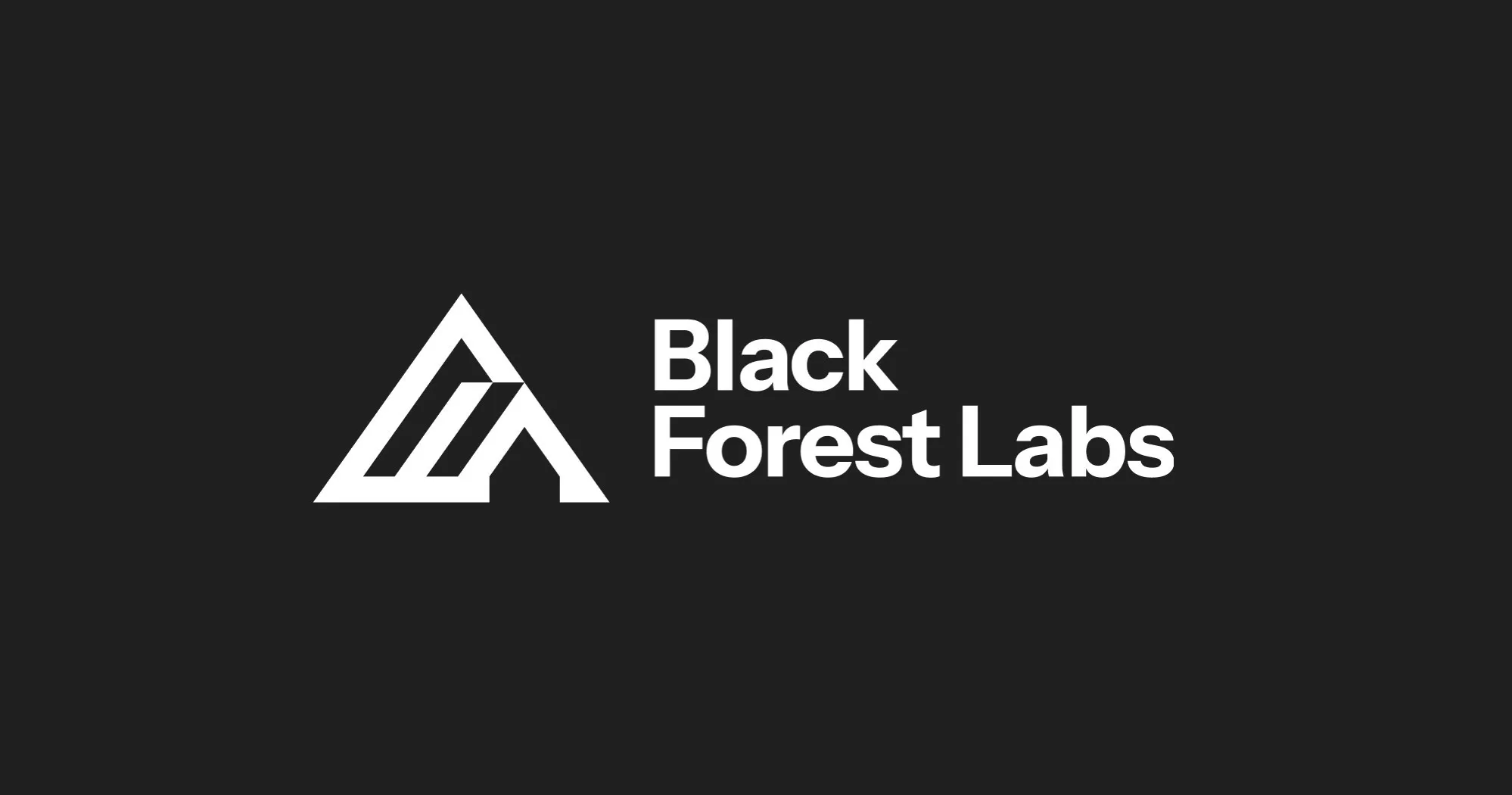 Black Forest Labs raises $300M Series B and reaches $3.25B Valuation