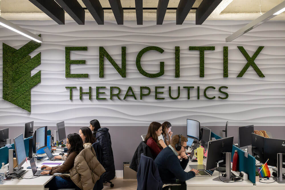 Engitix secures €21M to push ECM-Targeted Cancer and Fibrosis Pipeline Forward