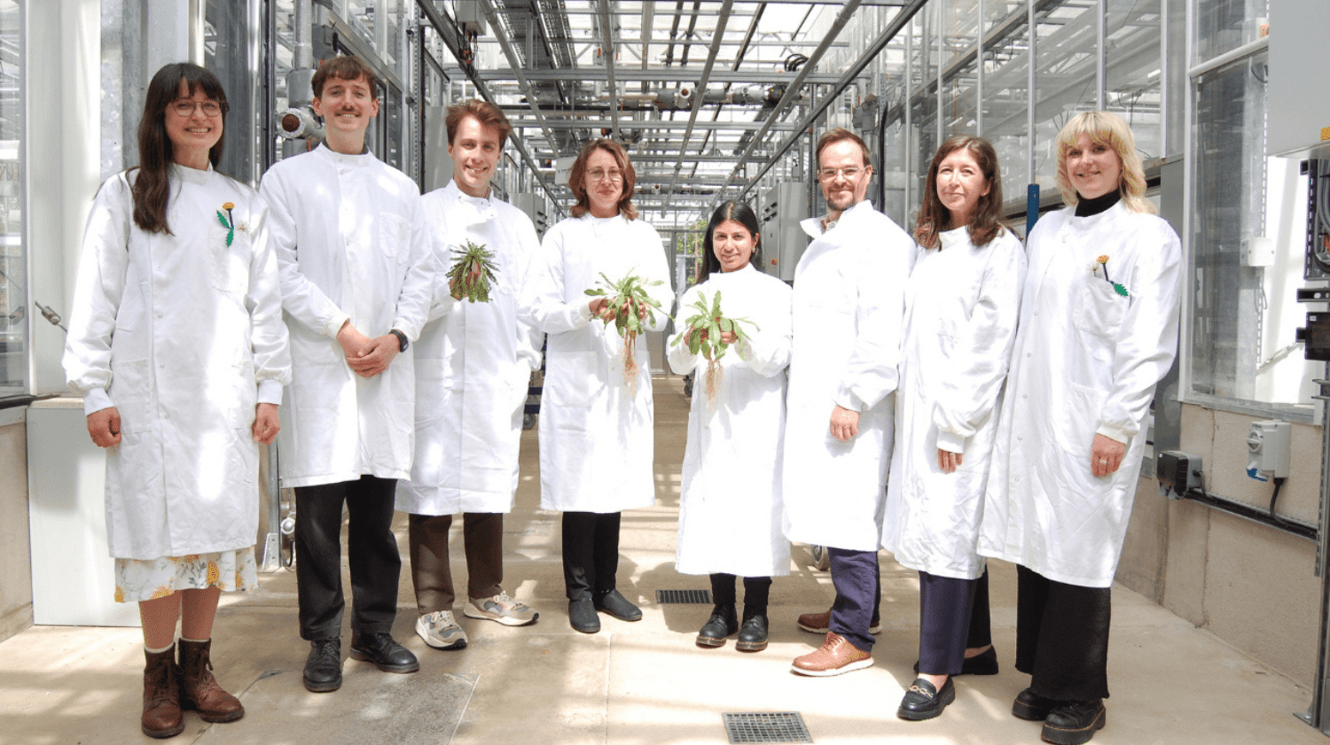 QuberTech secures £3.4M to scale biotechnology platform for sustainable natural rubber production